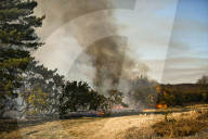 FEATURE - Heisser Februartag: Flächenbrand im Forstgebiet Ashdown
