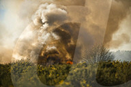 FEATURE - Heisser Februartag: Flächenbrand im Forstgebiet Ashdown
