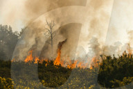 FEATURE - Heisser Februartag: Flächenbrand im Forstgebiet Ashdown