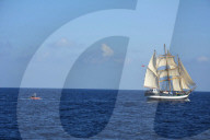 NEWS - Bilder des Tages