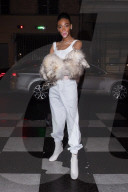 PEOPLE - Prada Party in Paris: Outside Arrivals