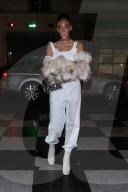 PEOPLE - Prada Party in Paris: Outside Arrivals