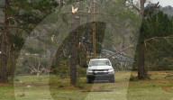 NEWS - USA: Verwüstungen nach Tornado in Alabama