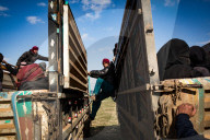 REPORTAGE - Syrien: Flüchtlingscamp Al-Hol