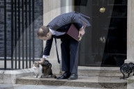 NEWS - Britischer Gesundheitsminister Hancock streichelt Doening Street 10-Katze Larry