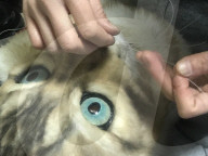 FEATURE - Mit neuer Maske können Sie wie Ihr Haustier aussehen