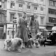 FEATURE - Nostalgisch: Pudel werden für Bühnenshow 1952 in London frisiert