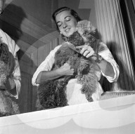 FEATURE - Nostalgisch: Pudel werden für Bühnenshow 1952 in London frisiert