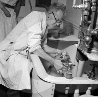 FEATURE - Nostalgisch: Pudel werden für Bühnenshow 1952 in London frisiert