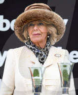 2019 Cheltenham Festival, Ladies Day, Horse Racing, Cheltenham, UK - 13 Mar 2019