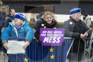 Pro Brexit & Remain activists Westminster