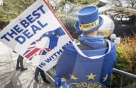 Mr Stop Brexit