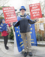 Mr Stop Brexit