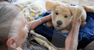 FEATURE - Roboterplüschhund hilft Demenzkranken
