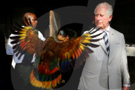 Prince Charles and Camilla Duchess of Cornwall Caribbean tour, St. Vincent and the Grenadines - 20 Mar 2019