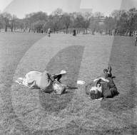 Mono Negative