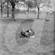 Mono Negative