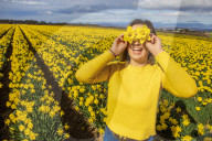 FEATURE - Der Frühling ist da: Ein Feld blühender Osterglocken nahe Montrose