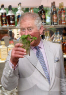 Prince Charles and Camilla Duchess of Cornwall Caribbean tour, Cuba - 27 Mar 2019