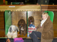 Crufts 2019