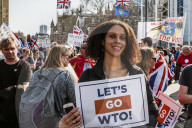 On the day Britain is supposed to leave the EU, a large crowd of leavers from all over the country gather in front of the Houses of Parliament. The atmosphere is bon enfant, with a small representation of french campaigning for frexit.