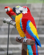 FEATURE - Fake Parrots: Ein Papagei beäugt misstrauisch seine LEGO Artgenossen