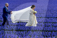 FEATURE - Fotogenes Posieren im blauen Hyazinthen-Feld