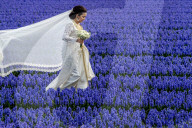 FEATURE - Fotogenes Posieren im blauen Hyazinthen-Feld