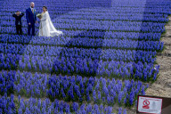 FEATURE - Fotogenes Posieren im blauen Hyazinthen-Feld