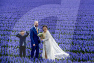 FEATURE - Fotogenes Posieren im blauen Hyazinthen-Feld