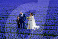 FEATURE - Fotogenes Posieren im blauen Hyazinthen-Feld