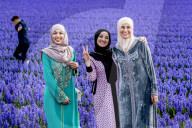 FEATURE - Fotogenes Posieren im blauen Hyazinthen-Feld