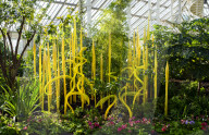 From fantastical ferns to icicle towers, glass artworks take over Kew Gardens in London.