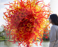 From fantastical ferns to icicle towers, glass artworks take over Kew Gardens in London.