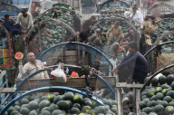 FEATURE - Pakistan: Wassermelonen zum Verkauf auf dem Markt in Lahore