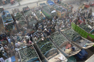 FEATURE - Pakistan: Wassermelonen zum Verkauf auf dem Markt in Lahore