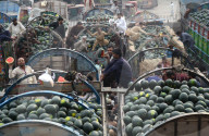 FEATURE - Pakistan: Wassermelonen zum Verkauf auf dem Markt in Lahore