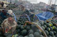 FEATURE - Pakistan: Wassermelonen zum Verkauf auf dem Markt in Lahore