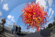 Chihulu at Kew Gardens: Reflections on nature. 