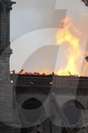 NEWS - Paris: Notre-Dame Opfer der Flammen
