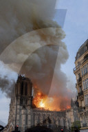 NEWS - Paris: Notre-Dame Opfer der Flammen