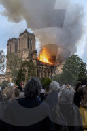 NEWS - Paris: Notre-Dame Opfer der Flammen