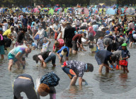 NEWS - Japan: Tausende sammeln Muscheln in Yokohama