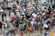 NEWS - Japan: Tausende sammeln Muscheln in Yokohama