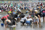 NEWS - Japan: Tausende sammeln Muscheln in Yokohama
