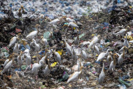 NEWS - Plastikmüllhalden in Aceh, Indonesien
