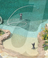 Stunning new aerial photos of DrakeÍs LA mansion show how heÍs turned the property into his very own Playboy-style grotto. 
