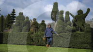 Shear genius! Meet the amateur topiarists who devote years to crafting incredible sculptures from their garden hedges.