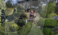Shear genius! Meet the amateur topiarists who devote years to crafting incredible sculptures from their garden hedges.