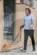 EXKLUSIV - Gavin Rossdale geht mit dem Hund Gassi